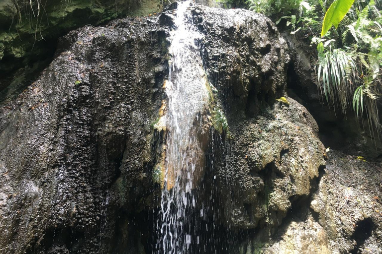 St. Lucia: Private Bootstour nach SoufriereHalbtags 25&#039; Schnellboot &quot;Israel King&quot;