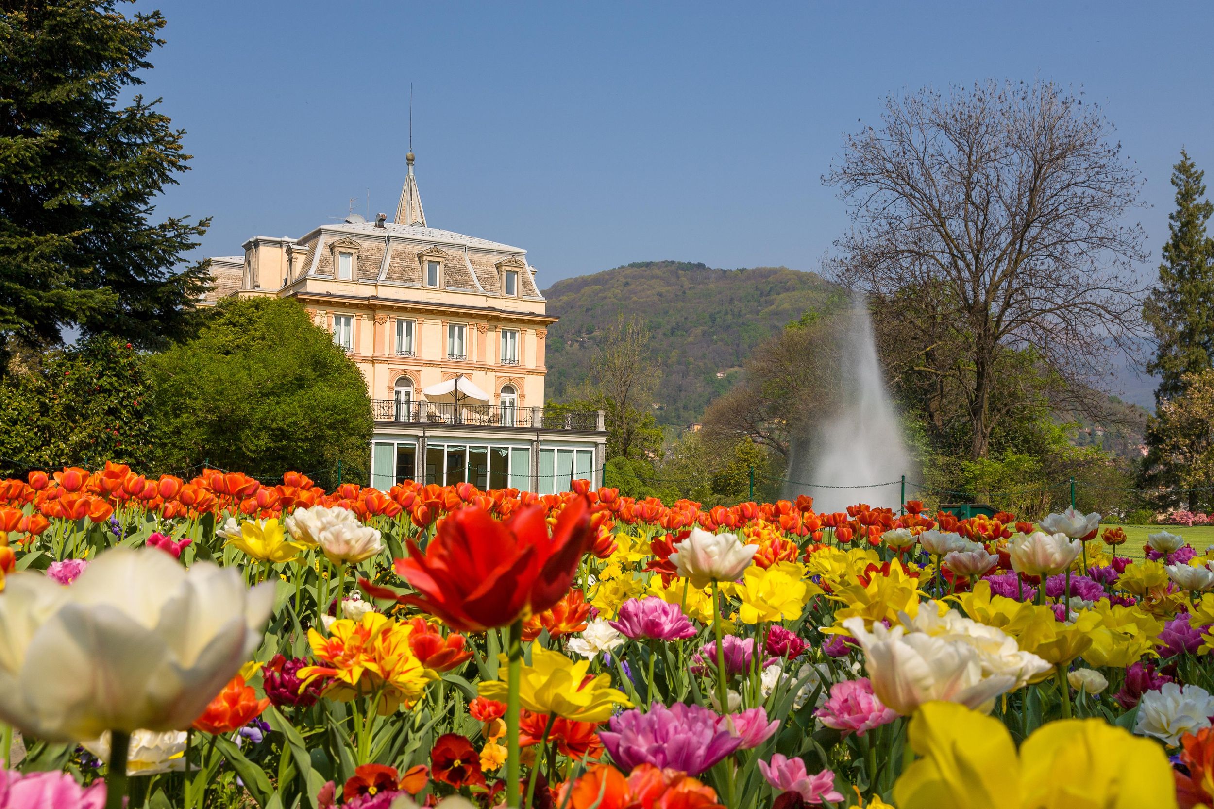 Stresa: Bootsfahrt und Besuch der Gärten der Villa Taranto