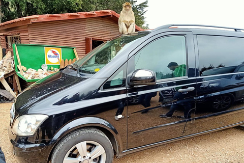 Transfer van Fes naar Tanger via Volubilis en Chefchaouen