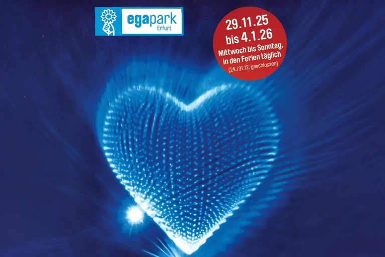 Wstęp do egaparku: zimowe światła