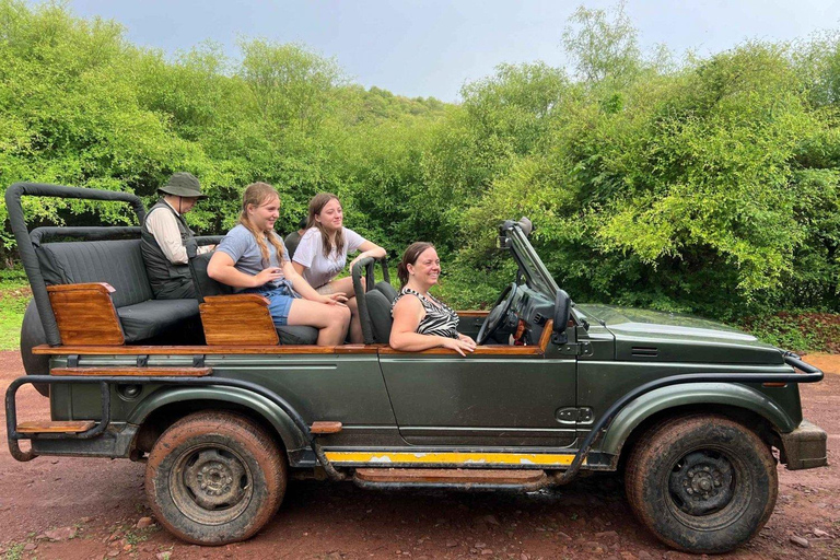 Pushkar Ranthambore Tiger Safari Tour Drop Jaipur