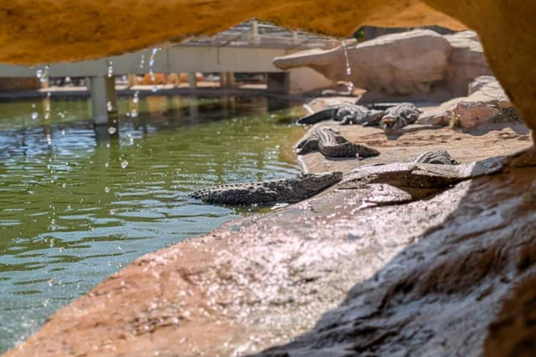 Djerba: Crocodiles, Guided Museum Tour & Free Souvenir
