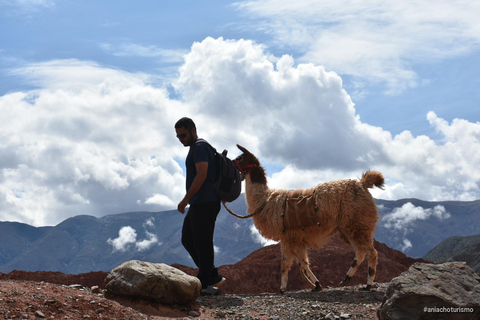 Purmamarca: Hiking with Llamas through multicolored mountains