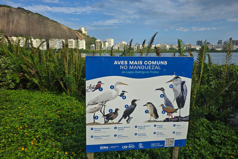Capybaras: Rodrigo de Freitas Lagoon Paddle Boat Tour