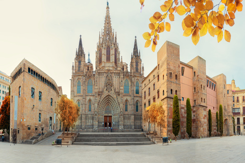 Catedral de Barcelona sin colas con guía privado3 horas: Catedral de Barcelona y Transporte