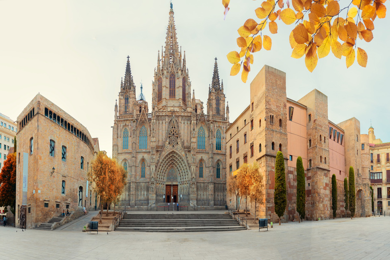 Skip-the-line Barcelona Cathedral with Private Guide 4-hour: Barcelona Cathedral & Santa Maria del Mar Basilica