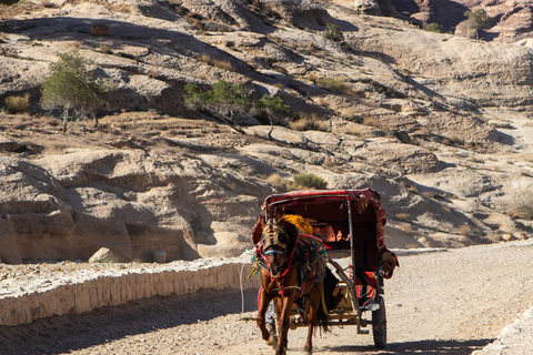 Aqaba : Transfert privé vers Petra avec eau et Wi-Fi