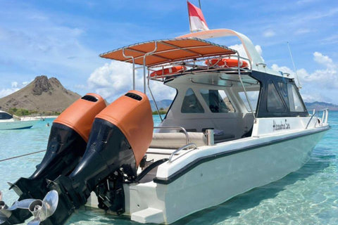 Labuan Bajo: Komodo National Park Private Speedboat Charter
