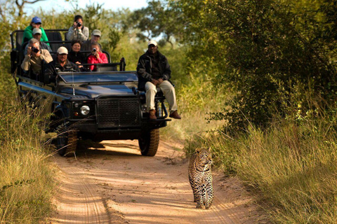 Safari Game Drive with Masuku Adventures