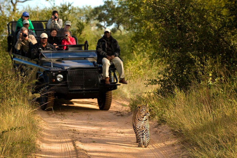 Safari Game Drive med Masuku Adventures