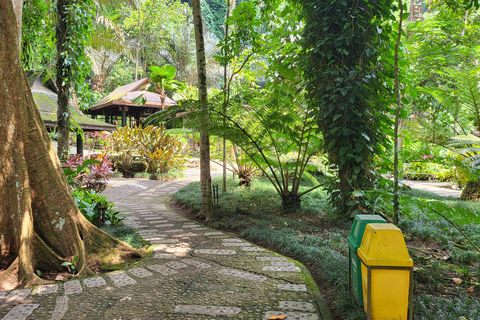Hidden Valley Springs | Lunch | Taal Volcano Viewing (2in1)