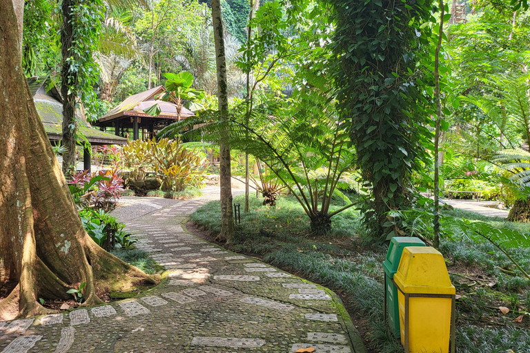 Hidden Valley Springs | Lunch | Taal Volcano Viewing (2in1)