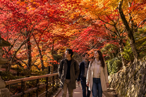 Kyoto: Kiyomizu-dera Autumn Colors & Historic Streets Walk Early Bird 20% Off – Limited Autumn Offer