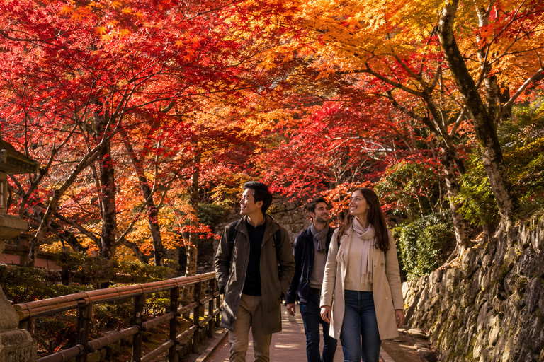 Kyoto: Kiyomizu-dera Autumn Colors & Historic Streets Walk Early Bird 20% Off – Limited Autumn Offer