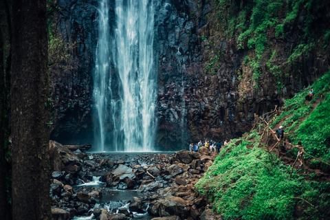 Materuni Waterfall and Coffee tour