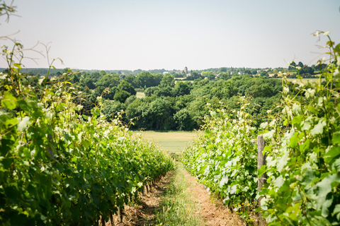 Führung durch die Domaine de Haute PercheGeführte Besichtigung der Domaine de Haute Perche