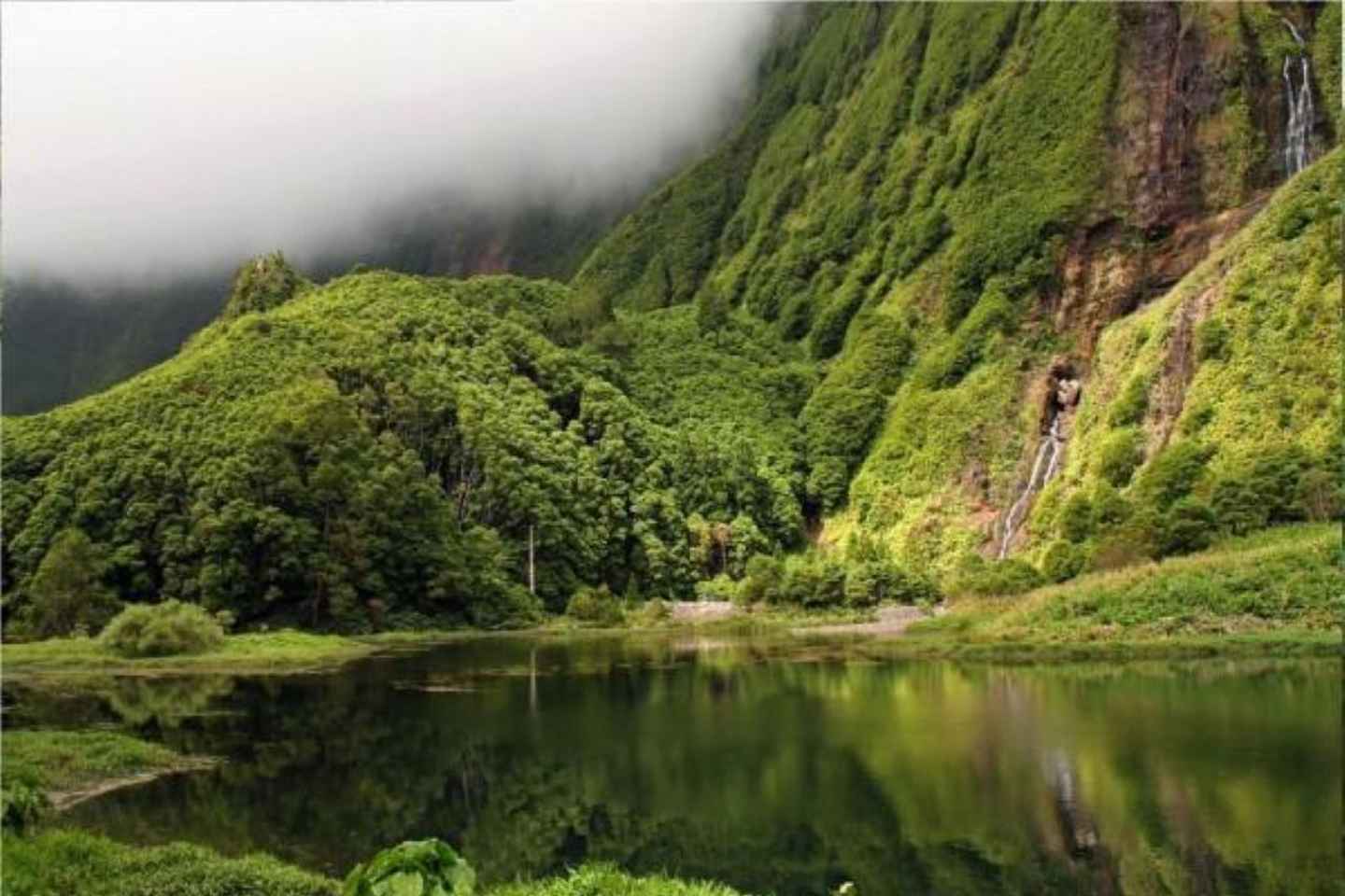 夢の島を巡る完全ガイドツアー
