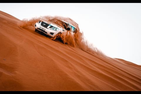 Morning Desert Safari & Abu Dhabi Mosque Sunset Tour