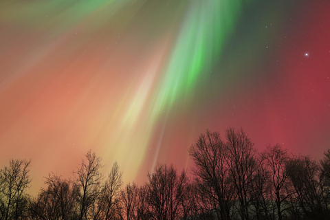 Tromsø: Northern Lights Tour – Unlimited Chase & Free Photos 6-8 Hours, Aurora chase, Comfortable bus, Photos included