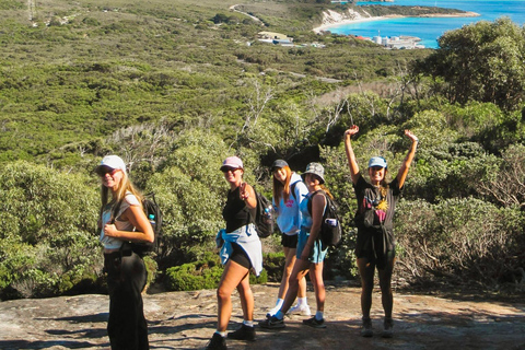 Eumundi Markets & Noosa Hinterland Day Tour from Brisbane