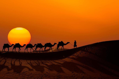 Desde Agadir: Paseo en camello al atardecer con cena barbacoa y traslados