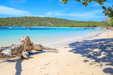 Private: Puerto Plata Culinary & Beach Relaxation Experience
