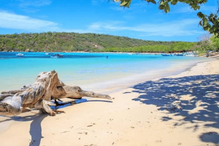 Private: Puerto Plata Culinary & Beach Relaxation Experience