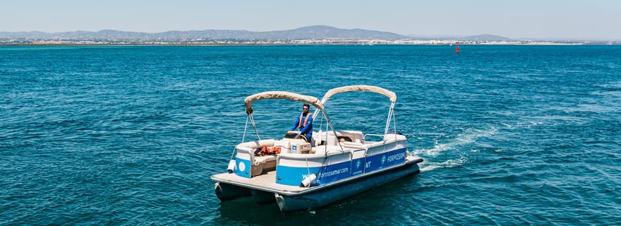 Faro : Excursion en catamaran sur l'île de Deserta et l'île de Farol