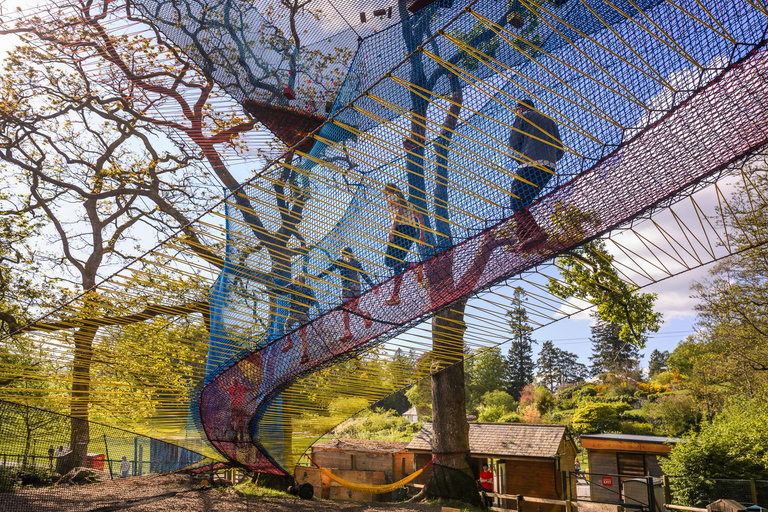 Windermere: Treetop bouncy nets (Treetop Nets)