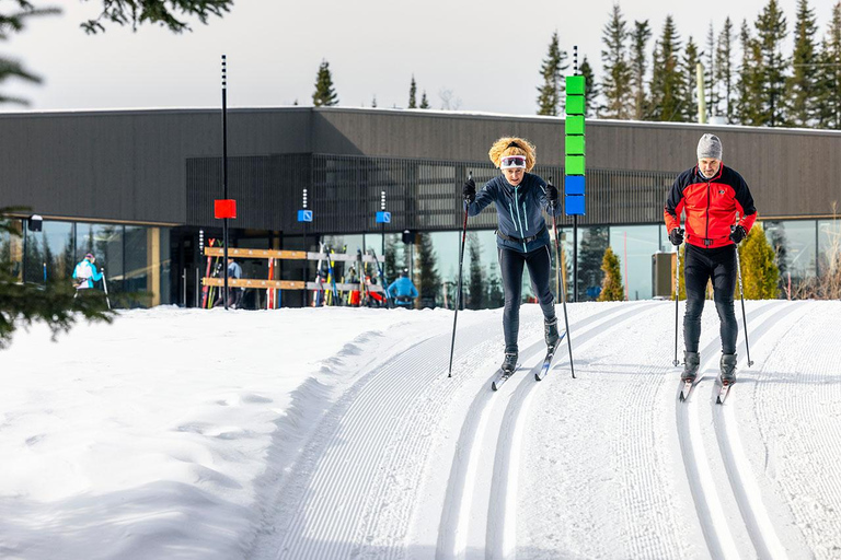 Quebec City: Introduction to cross-country skiing at Camp Mercier