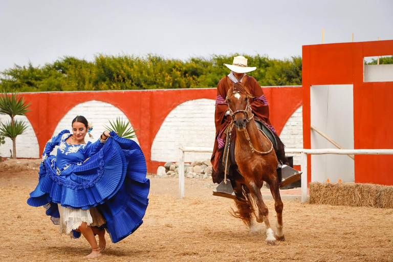 Découvrez les mystères Moche - Huacas de Luna &amp; Paso Horses