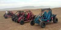 Expedición fuera de la ruta de reserva de Paracas - Buggy o Quad - Hizvo