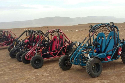 Expédition hors route dans la réserve de Paracas - Buggy ou Quad