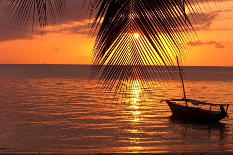 Zanzibar: Cidade de Pedra e Ilha Prisão, Safari Azul, Pôr do sol no Norte