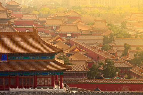 Beijing: Forbidden City & Panda Zoo Private Tour Beijing Panda Zoo （only ticket，not tour）