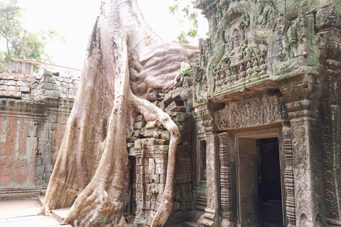 Angkor Wat, Angkor Thom, and Ta Prohm Day Trip with Sunset