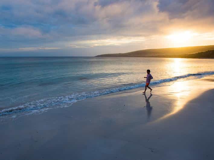 Kangaroo Island Lighthouse, Kangaroos and Wine Tasting GetYourGuide