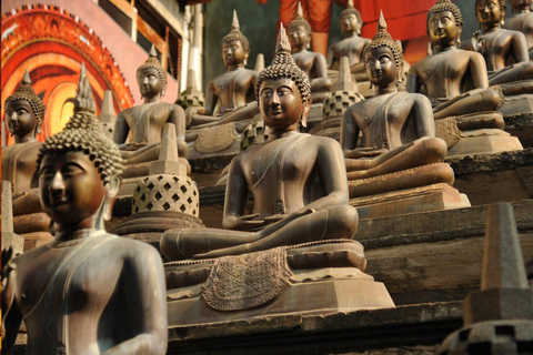 Colombo: City Highlights, Temples, Lotus Tower & Port City