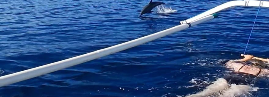 Lovina/BALI : SPÉCIAL Observation des dauphins, baignade, plongée en apnée