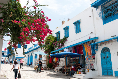 Tunis Day Tour: Medina, Carthage & Sidi Bou Said