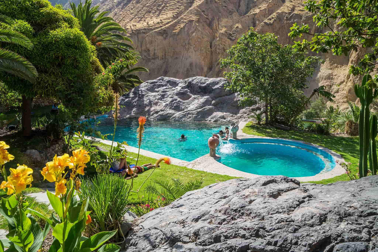 COLCA TREK - 2 DAGAR - DEN BÄSTA VANDRINGENfrån Arequipa: vandring 2 dagar 1 natt - colca canyon