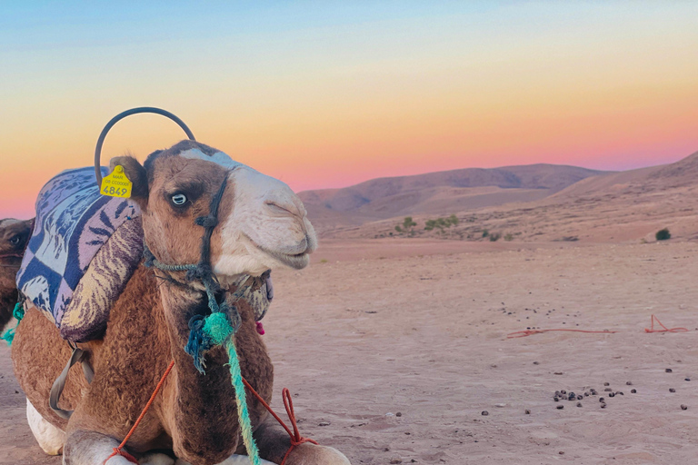 Marrakesch:Erkunde die Wüste Agafay Kamel&Quad mit Abendessen&Show