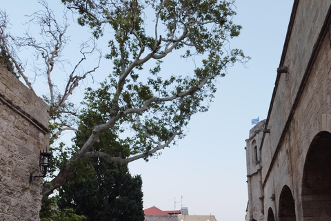 Rhodes: Filerimos Hill, Acropolis, and Medieval City Tour