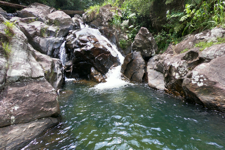 Knuckles Mountain Watervallen Luipaardpad Trek vanuit Kandy