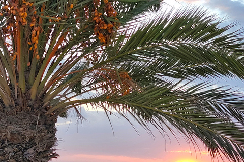 Djerba: Ride to the Pink Flamingo Peninsula by Electric Bike