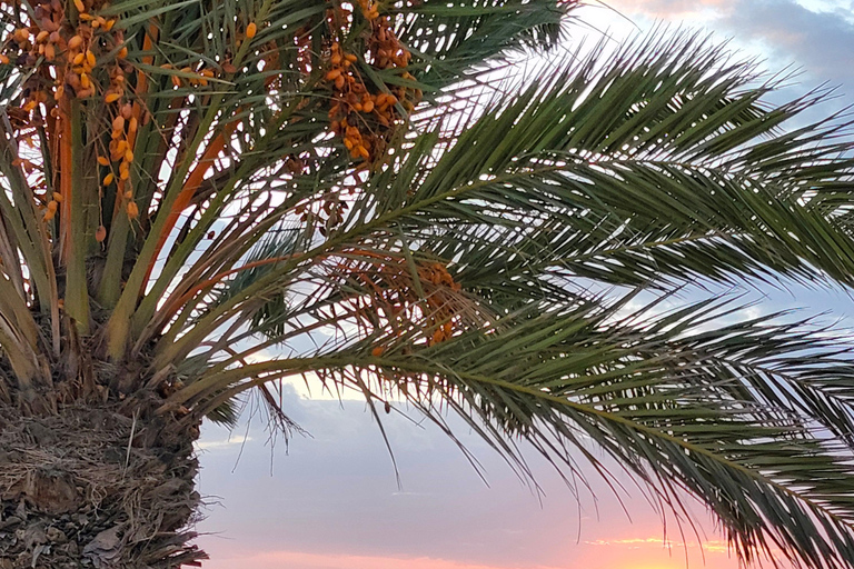 Djerba: Ride to the Pink Flamingo Peninsula by Electric Bike