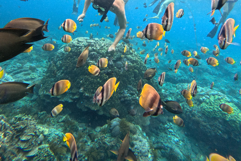 From Lembongan: Manta Point Snorkeling & West Penida Tour Snorkeling and West Land Tour with Hotel Pickup and Drop-Off