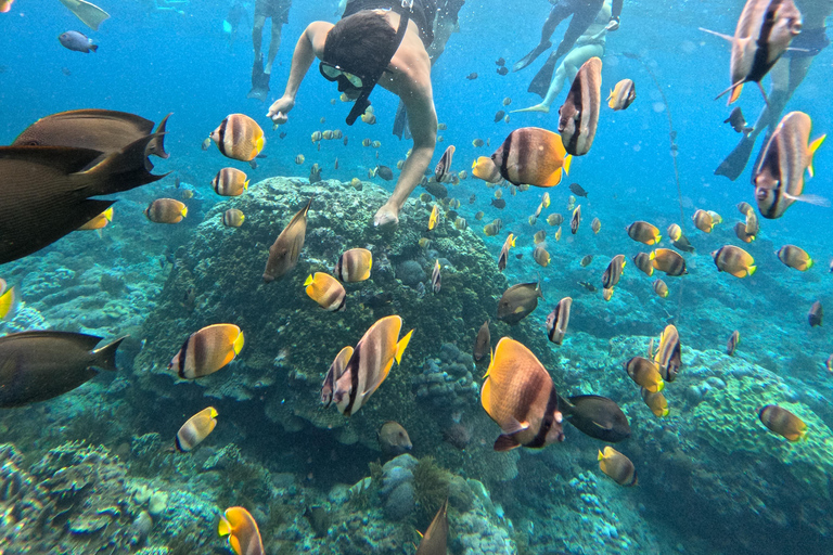 From Lembongan: Manta Point Snorkeling & West Penida Tour Snorkeling and West Land Tour with Hotel Pickup and Drop-Off