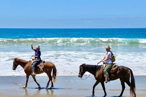 Zihuatanejo: Ridning på hästryggen med Playa Larga-stranden