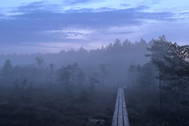 Sunrise Tour To Great Kemeri Bog